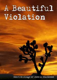 A Beautiful Violation